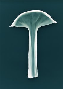 Zonder titel