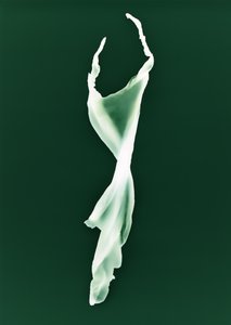 Zonder titel, 2004 door Richard Green