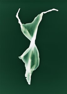Zonder titel
