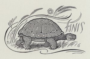 De Haas en de Schildpad (gravure) door Richard Heighway