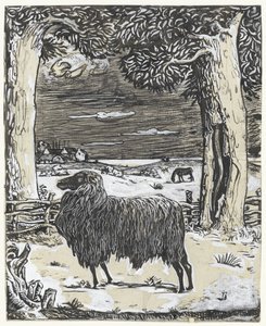 Schaap in een landschap met twee bomen