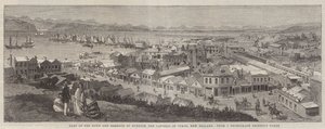 Deel van de stad en haven van Dunedin, de hoofdstad van Otago, Nieuw-Zeeland