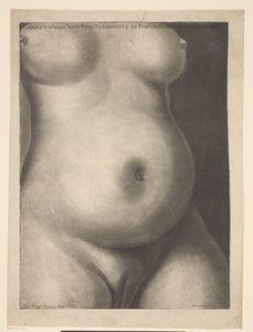 Torso van een zwangere vrouw