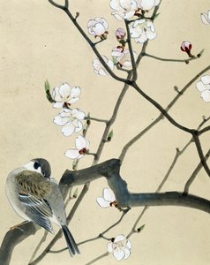 Vogel - Japanse tekening door Riou Chim, eind 19e eeuw