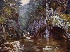 Fairy Glen, Bettws-y-Coed door Robert (after) Fowler