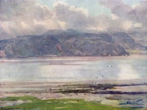 Bij Menai Straits (kleur litho) door Robert (after) Fowler