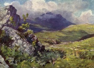 Uitzicht op Moelwyn door Robert (after) Fowler