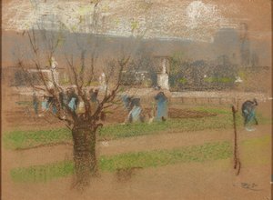 Bollen Planten in de Tuilerieën Tuinen, Parijs