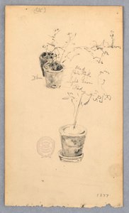 Tekening, Bloempotten, 1877 door Robert Frederick Blum