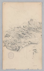 Tijgervel tapijt door Robert Frederick Blum