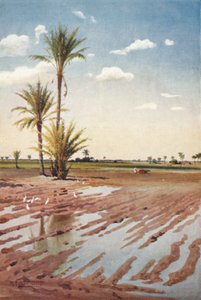 Een geïrrigeerd veld, circa 1880, 1904