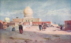 Sheykhs graf in Damietta