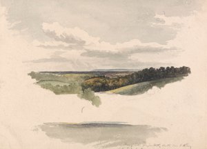 Tussen Netley Heath en Albury