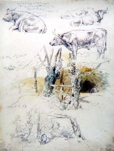 Studies van vee