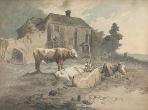 Langhoornig Vee door Robert Hills