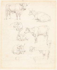 Studies van vee door Robert Hills