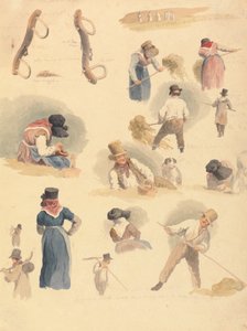 Studies van Hooibouwers