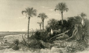 Aan de kust van Florida, 1872