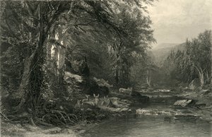 De Adirondack-bossen, 1874
