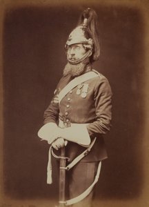Sergeant-Majoor Bailey, 1st Royal Dragoon Guards
