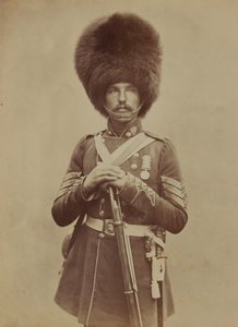 Sergeant William Powell, Grenadier Guards door Robert Howlett