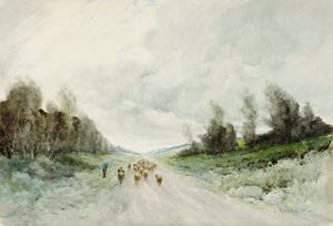 Een weg in Northumberland