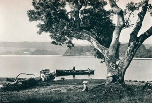 Kerk Eiland, Lough Gill, Sligo, ca. 1908