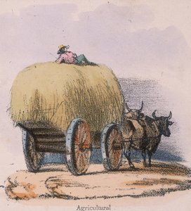 Landbouw