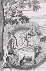 De manier van het uitstampen van hun rijst, uit Een Historische Relatie van het Eiland Ceylon, uitgegeven 1681 gravure door Robert Knox