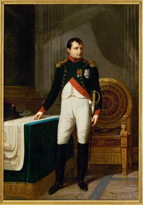 Keizer Napoleon I als kolonel van de Chasseurs a cheval de la garde ... (schilderij op doek) door Robert Lefevre