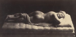 De hermafrodiet