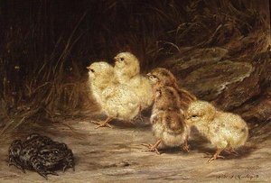 Kuikens en pad