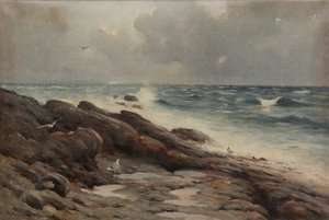 Rotsachtige Kustlijn door Robert Russell MacNee