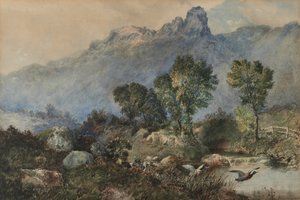 Landschap met Wilde Eenden