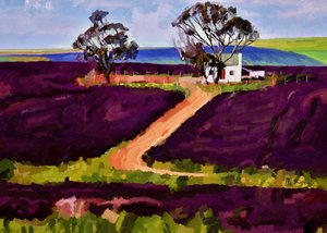 Boerderij Purple Fields