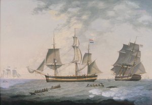 Walvisvangst in het Noordpoolgebied