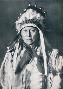 Een Sioux-hoofdman in zijn oorlogskleuren door Robert Wilson Shufeldt