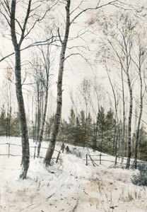 Twee figuren in een winterbos