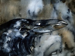 Profiel van Dark Raven door RodMacIver