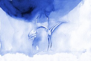 Sierlijke blauwe vogels door RodMacIver