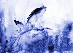 Sierlijke blauwe reiger door RodMacIver
