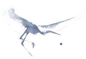 Sierlijke reiger in aquarel