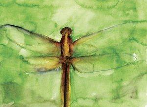 Groene libel in aquarel door RodMacIver
