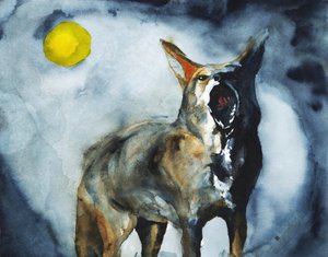 De huilende coyotemaan door RodMacIver