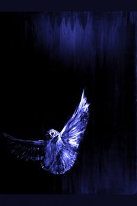 De vlucht van de mystieke blauwe uil door RodMacIver