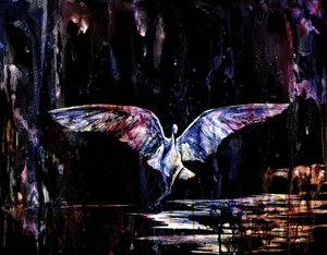 Mystieke nachtvlucht