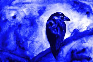 Raven bij maanlicht door RodMacIver