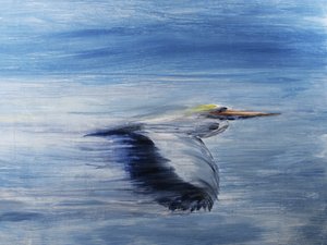 Serene vogelvlucht door RodMacIver