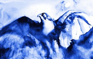 De hoogvliegende blauwe valk door RodMacIver