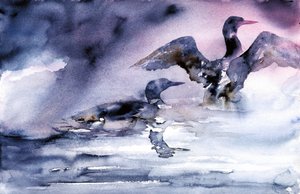 Watervogels bij zonsondergang